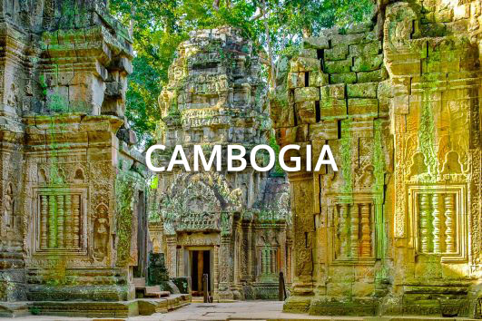 CAMBOGIA