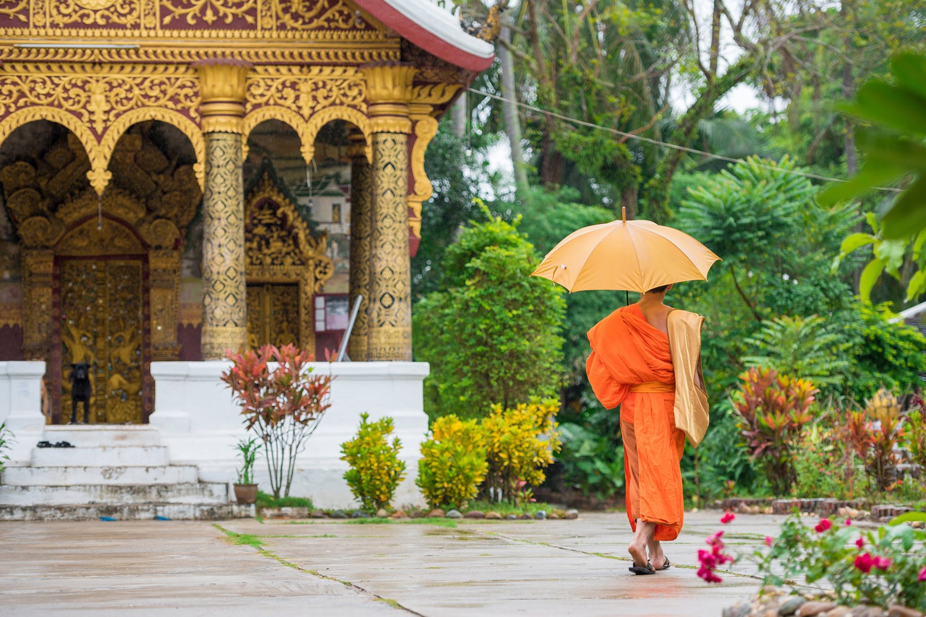 ESTENSIONE LuangPrabang