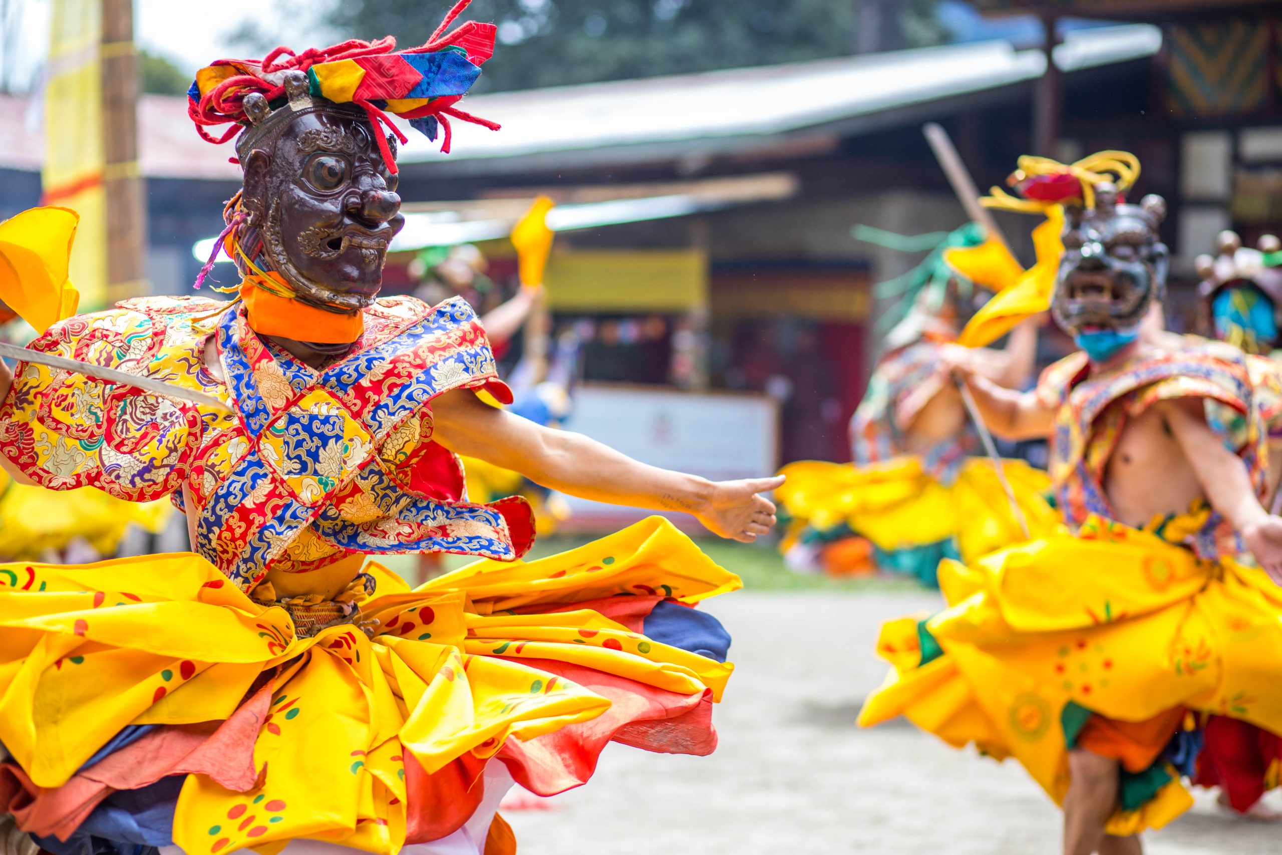 FESTIVAL PARO
