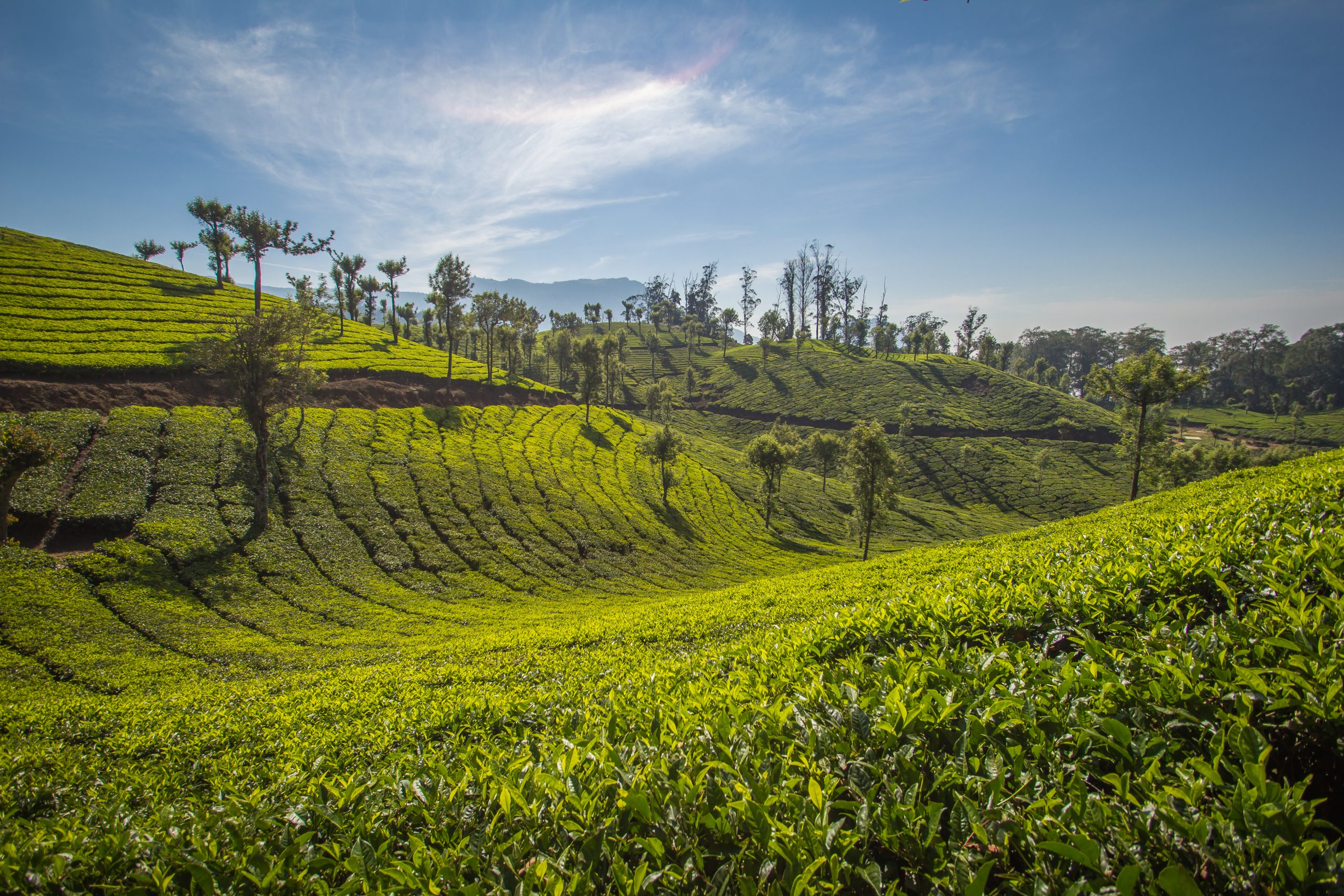 KERALA