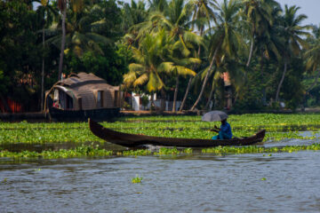 BACKWATERS scaled